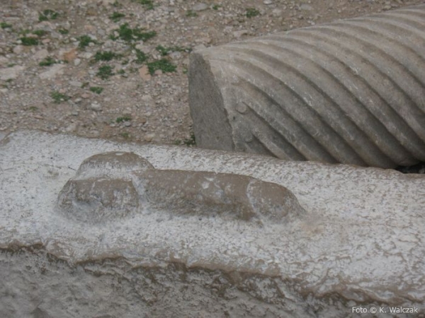 Zdjęcie z Maroka - Volubilis