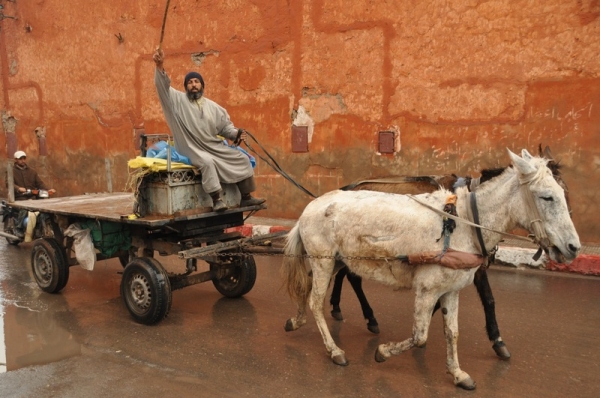 Zdjęcie z Maroka - Marrakesz