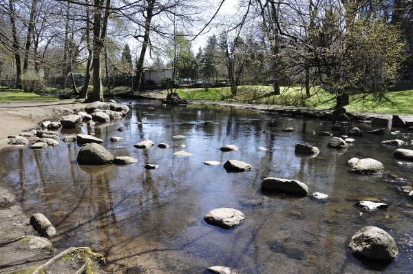 Zdjęcie z Polski - Park w Oliwie