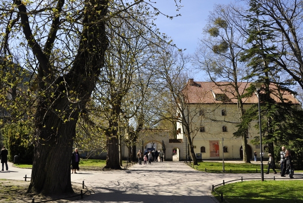 Zdjęcie z Polski - Park w Oliwie