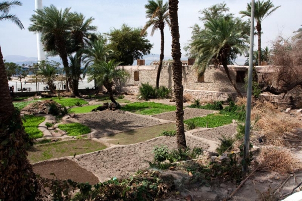 Zdjęcie z Jordanii - AQABA