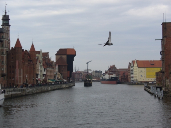 Zdjęcie z Polski - Gdańsk