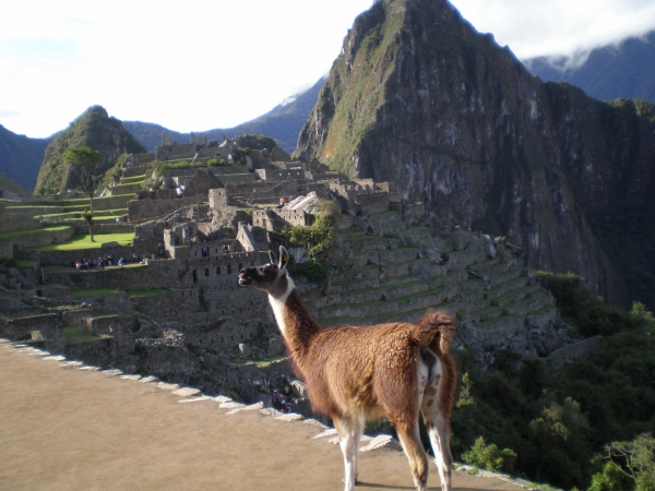 Zdjęcie z Peru - 