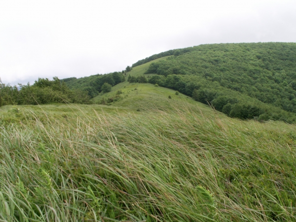 Zdjecie - Polska - Bieszczady