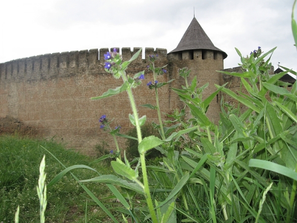 Zdjęcie z Ukrainy - Chocim-zamek