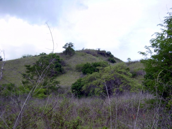 Zdjęcie z Indonezji - KOMODO ISLAND