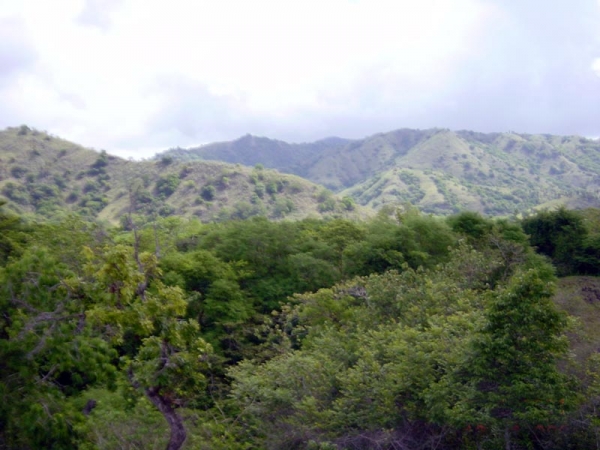 Zdjęcie z Indonezji - KOMODO ISLAND