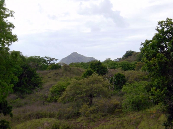 Zdjęcie z Indonezji - KOMODO ISLAND