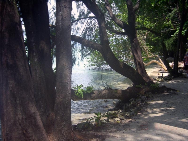 Zdjęcie z Indonezji - Pulau Pelangi