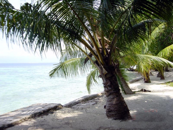 Zdjęcie z Indonezji - Pulau Pelangi