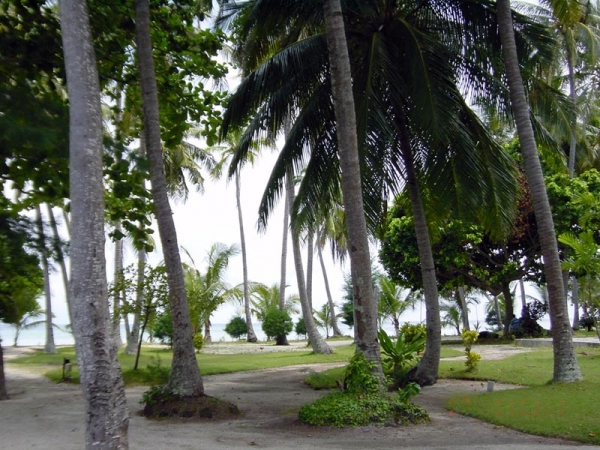 Zdjęcie z Indonezji - Pulau Pelangi