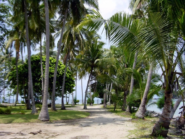Zdjęcie z Indonezji - Pulau Pelangi