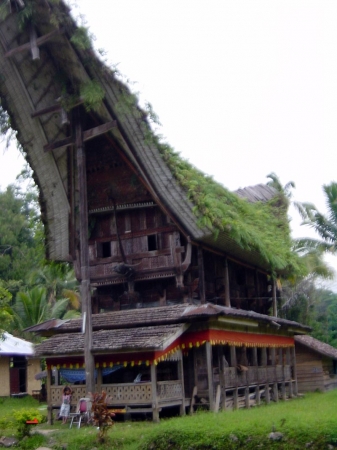 Zdjęcie z Indonezji - Palopo