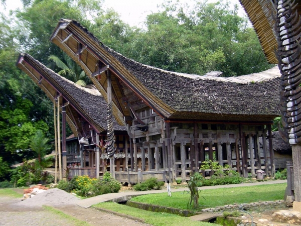 Zdjęcie z Indonezji - Palopo