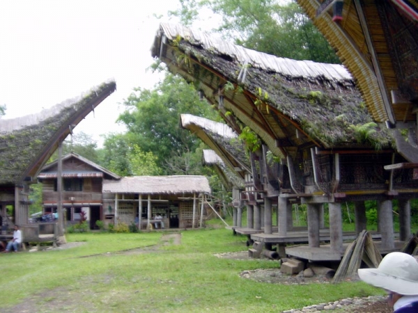 Zdjęcie z Indonezji - Palopo