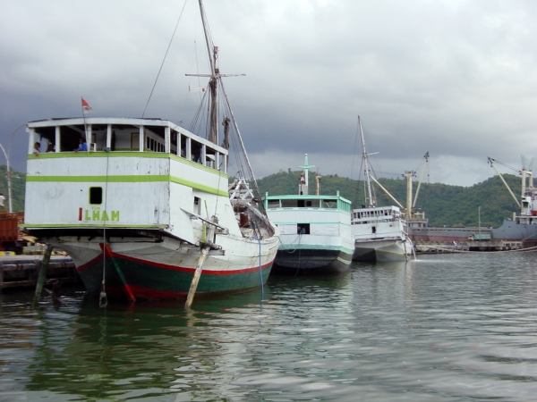 Zdjęcie z Indonezji - LOMBOK