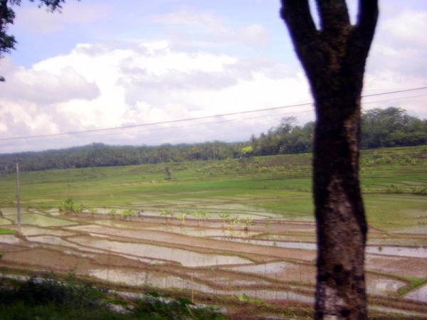 Zdjęcie z Indonezji - SEMARANG - okolice