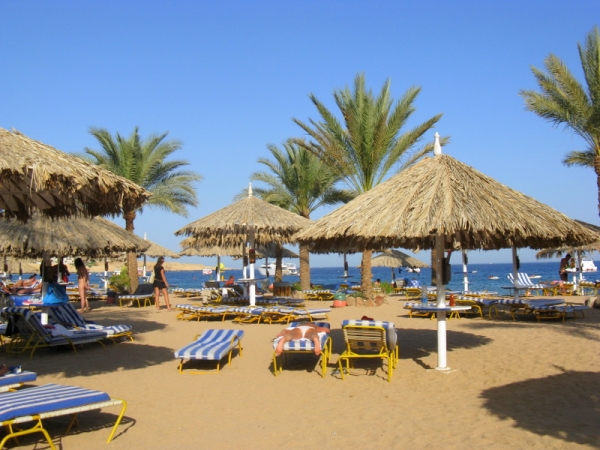 Zdjęcie z Egiptu - plaża w Nama Bay