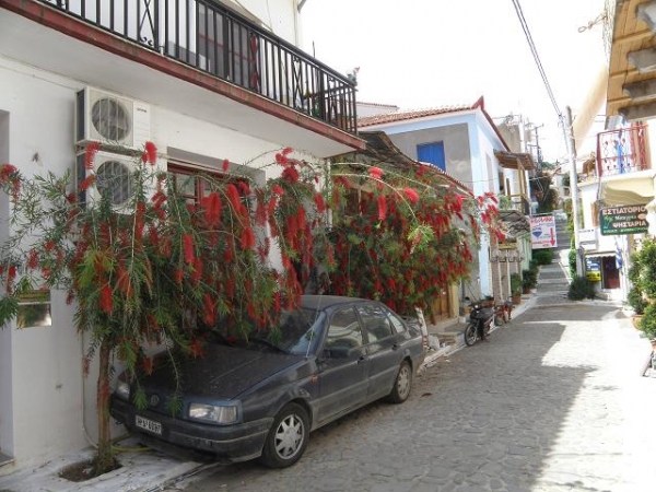 Zdjęcie z Grecji - Koroni