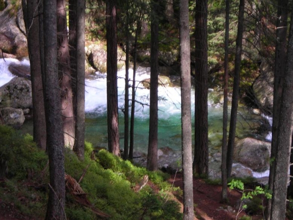 Zdjęcie ze Słowacji - Tatry