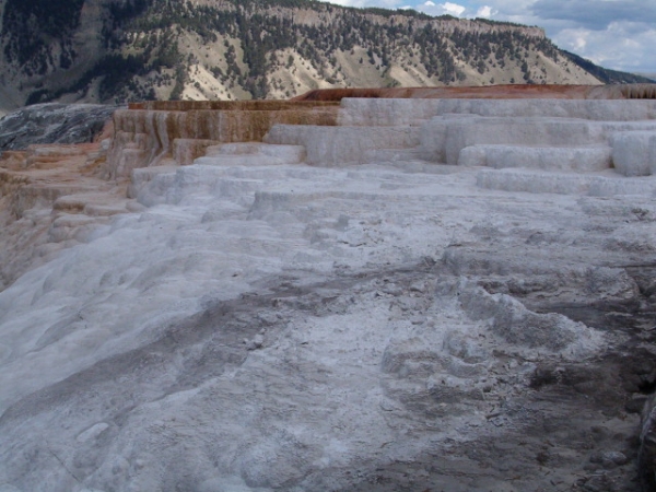 Zdjęcie ze Stanów Zjednoczonych - Mammoth Hot Springs Yello