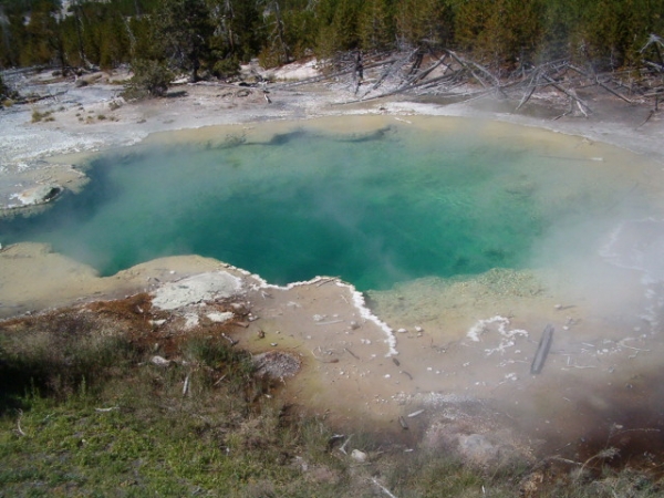 Zdjęcie ze Stanów Zjednoczonych - Yellowstone