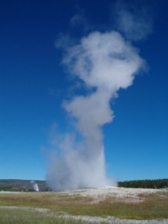 Zdjęcie ze Stanów Zjednoczonych - Old Faithful