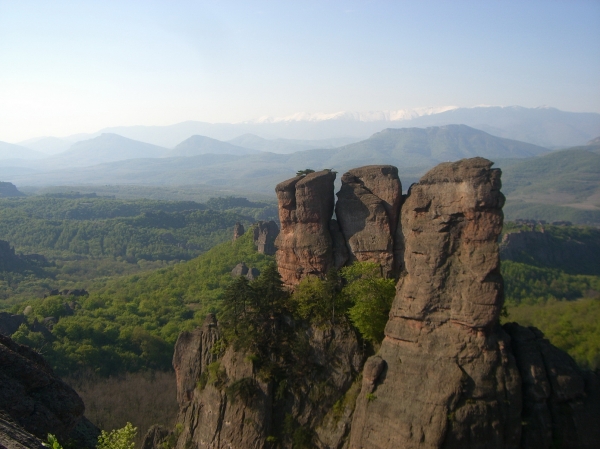 Zdjecie - Bułgaria - Montana