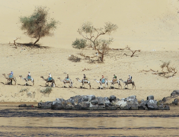 Zdjęcie z Egiptu - Karawana wzdłuż Nilu