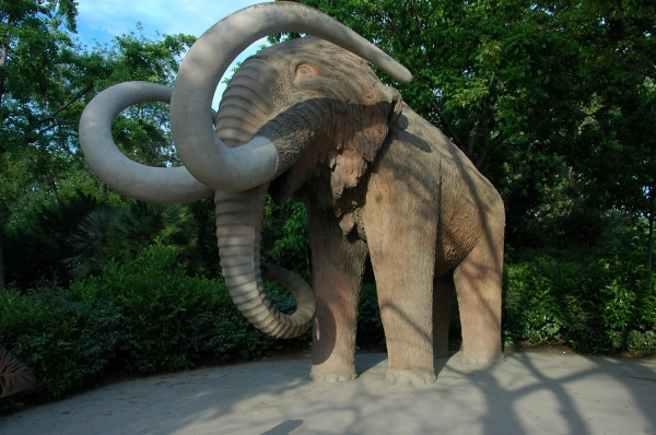 Zdjęcie z Hiszpanii - Mamut w Parku Ciudadela