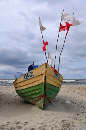 Zdjęcie z Polski - Piaski 2010