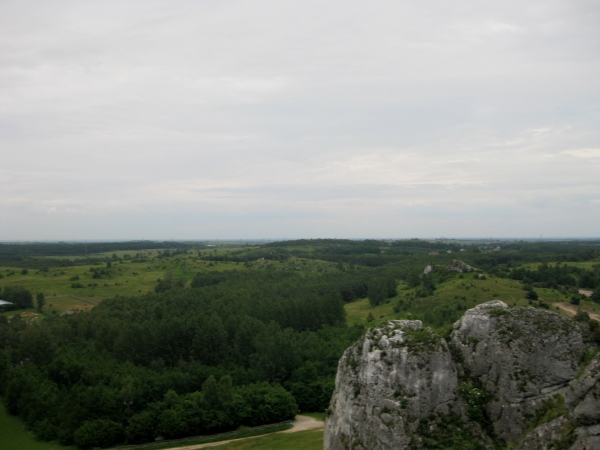 Zdjęcie z Polski - 