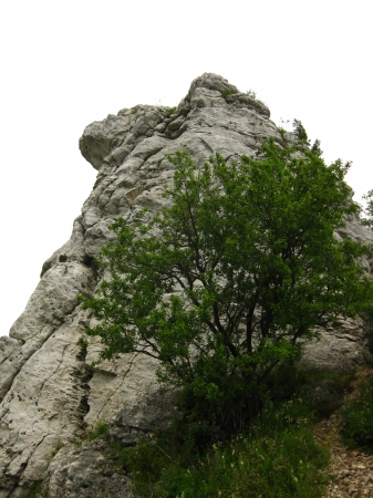 Zdjęcie z Polski - 
