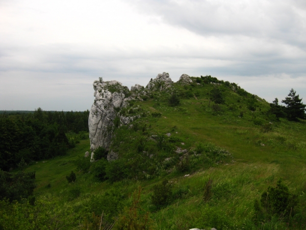Zdjęcie z Polski - 