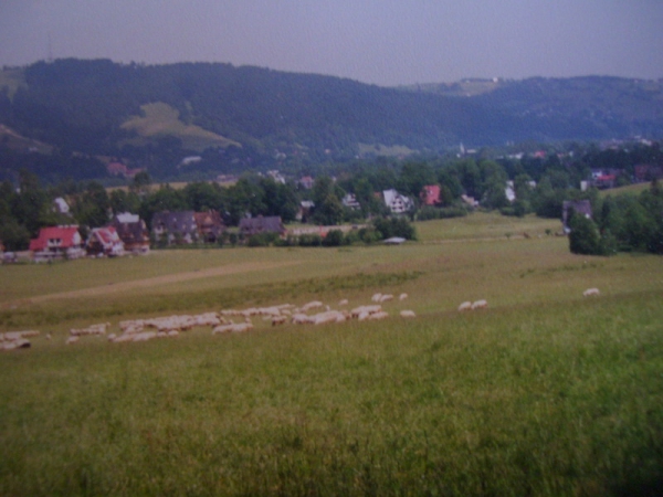 Zdjecie - Polska - Tatry