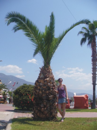 Zdjęcie z Turcji - ALANYA