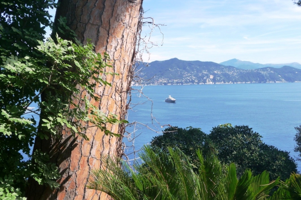 Zdjęcie z Włoch - Liguria