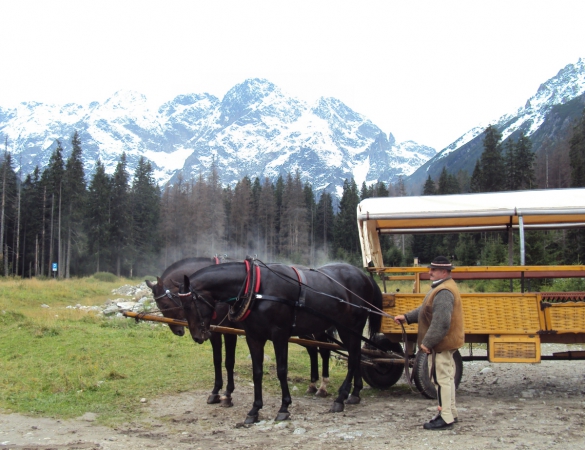Zdjecie - Polska - MORSKIE OKO - Tatrzański Park Narodowy