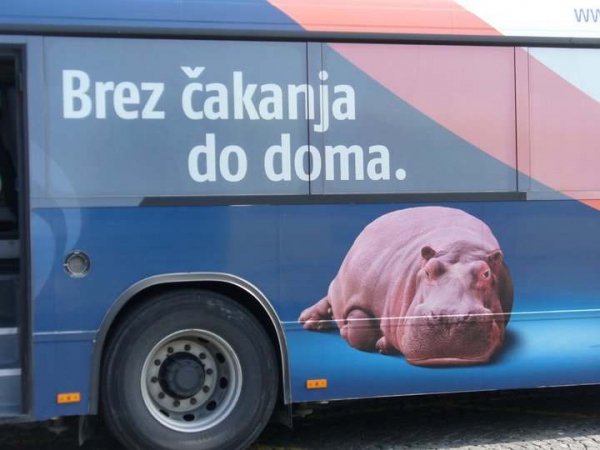 Zdjęcie ze Słowenii - :)