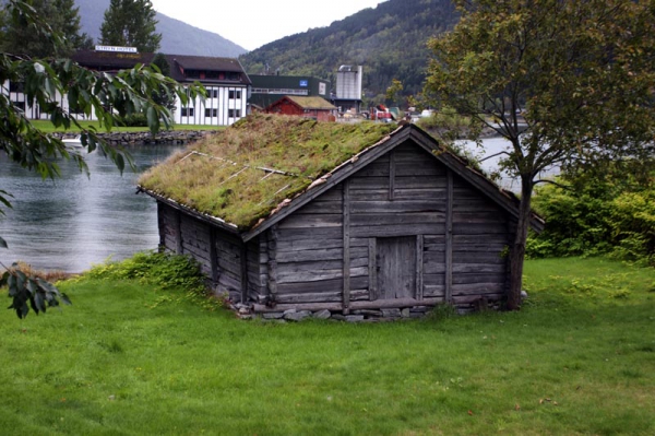 Zdjęcie z Norwegii - Stryn