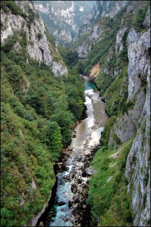 Zdjęcie z Czarnogóry - Tara River Canyon