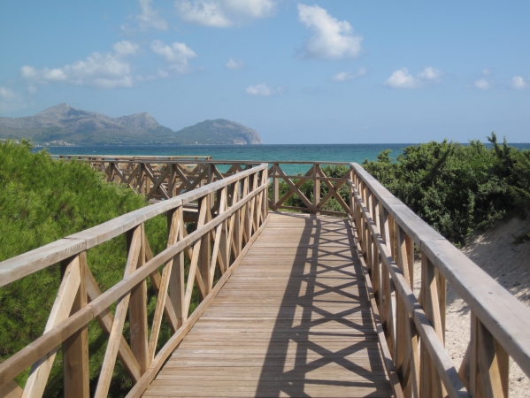 Zdjęcie z Hiszpanii - Alcudia