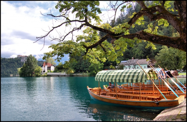 Zdjęcie ze Słowenii - Bled