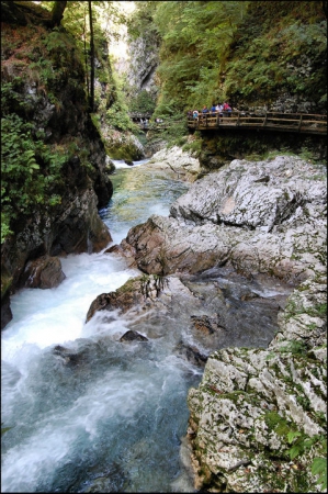 Zdjęcie ze Słowenii - The Vintgar Gorge