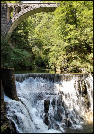 Zdjęcie ze Słowenii - The Vintgar Gorge