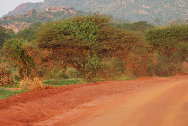 Zdjęcie z Kenii - TSAVO