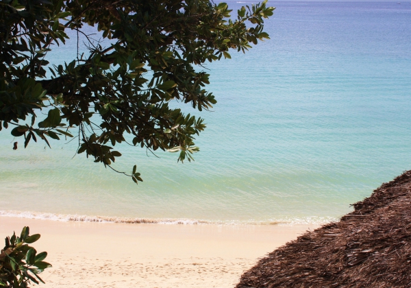 Zdjęcie z Seszeli - 