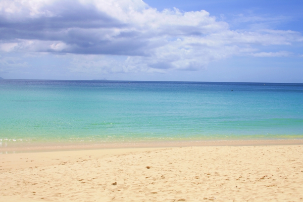 Zdjęcie z Seszeli - 