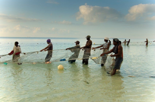 Zdjecie - Kenia - Mombasa