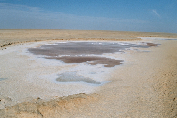 Zdjęcie z Tunezji - Chott El Jerid